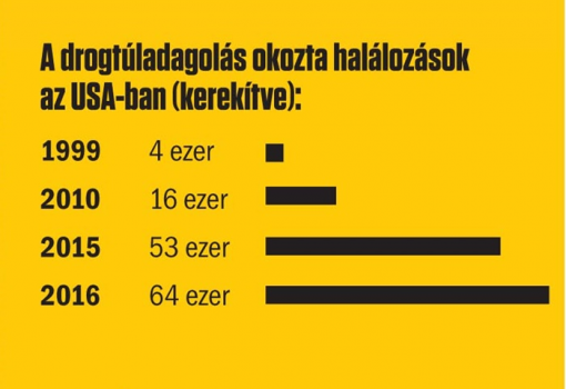 <h1>A drogtúladagolás okozta halálozások az USA-ban (kerekítve)</h1>-