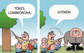 PINK - HERVAD MÁR LIGETÜNK - A VH szatirikus rovata