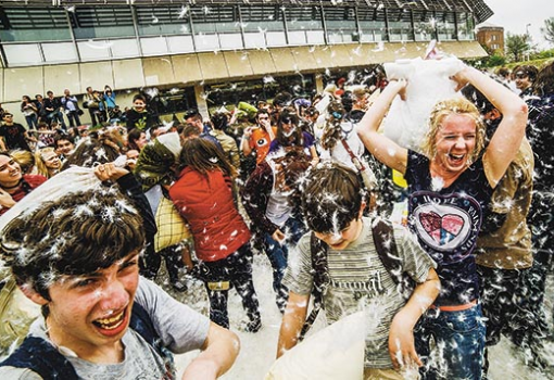 <h1>Párnacsata - Fotó: Németh András Péter</h1>-