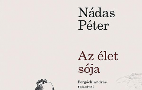 A dolgok pászentossága